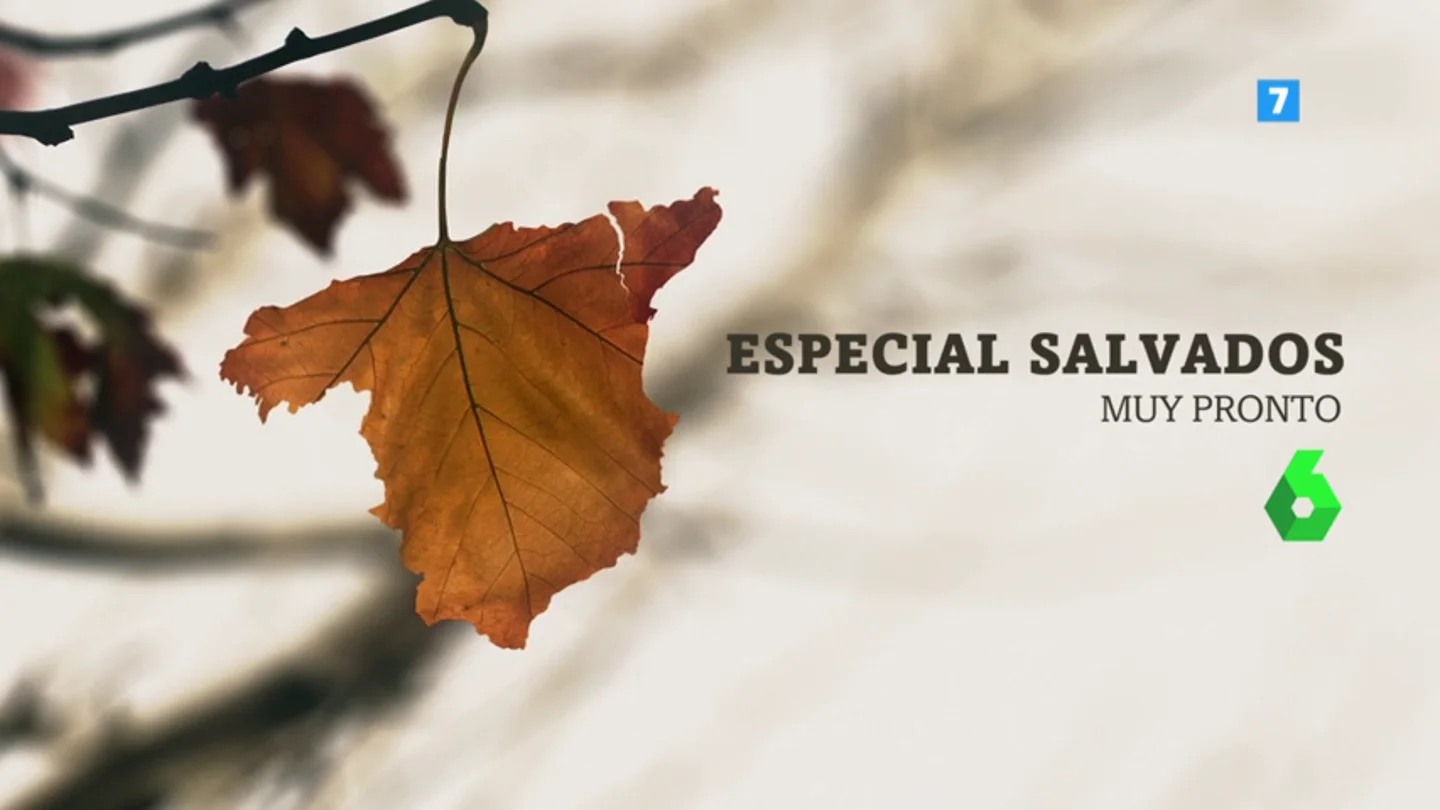 ¿Está al caer? Jordi Évole vuelve con un especial de Salvados sobre Cataluña ¿Está al caer? Jordi Évole vuelve con un especial de Salvados sobre Cataluña