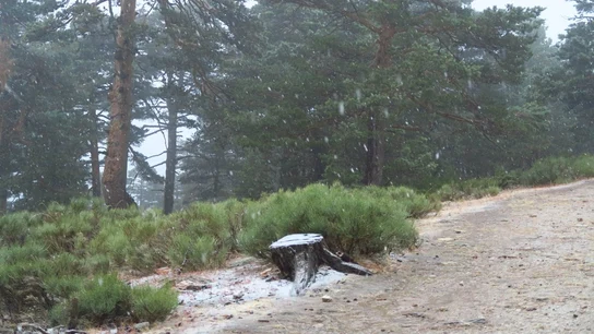 Así nieva en el Puerto de Navacerrada Así nieva en el Puerto de Navacerrada