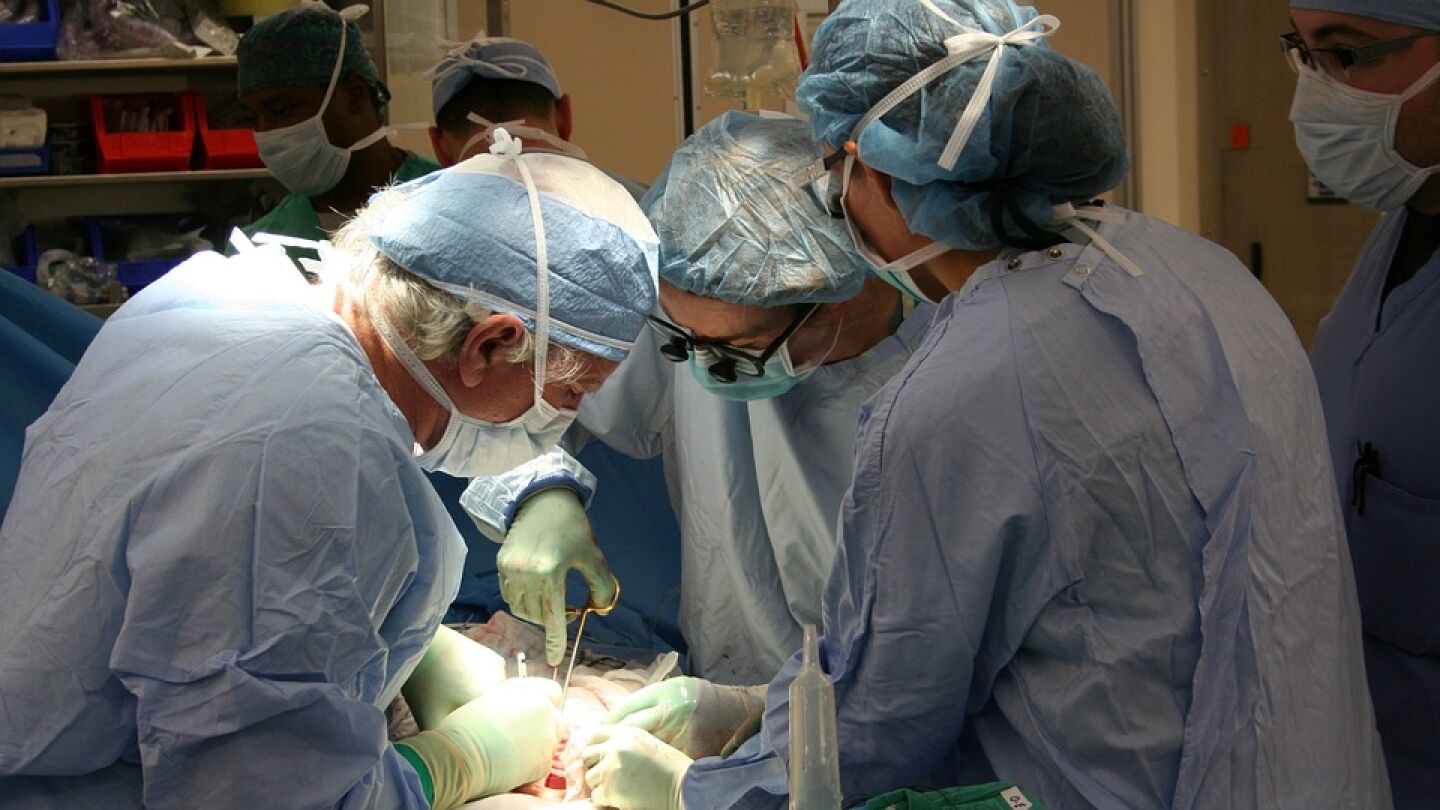 Aumenta un 12% los donantes de m&eacute;dula en el &uacute;ltimo a&ntilde;o
