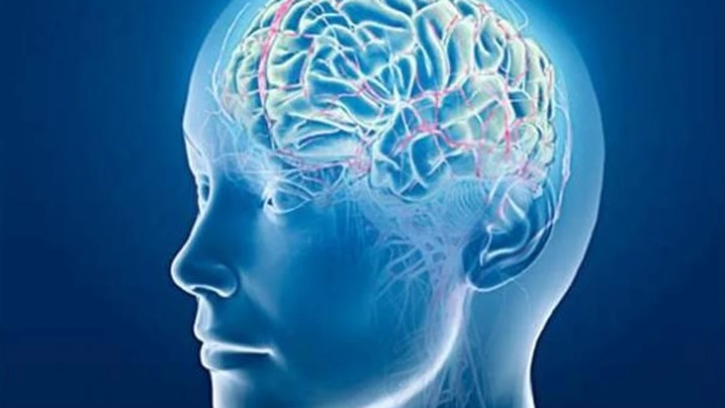 Una prueba permite determinar las capacidades cognitivas de la esquizofrenia en apenas 20 minutos Una prueba permite determinar las capacidades cognitivas de la esquizofrenia en apenas 20 minutos