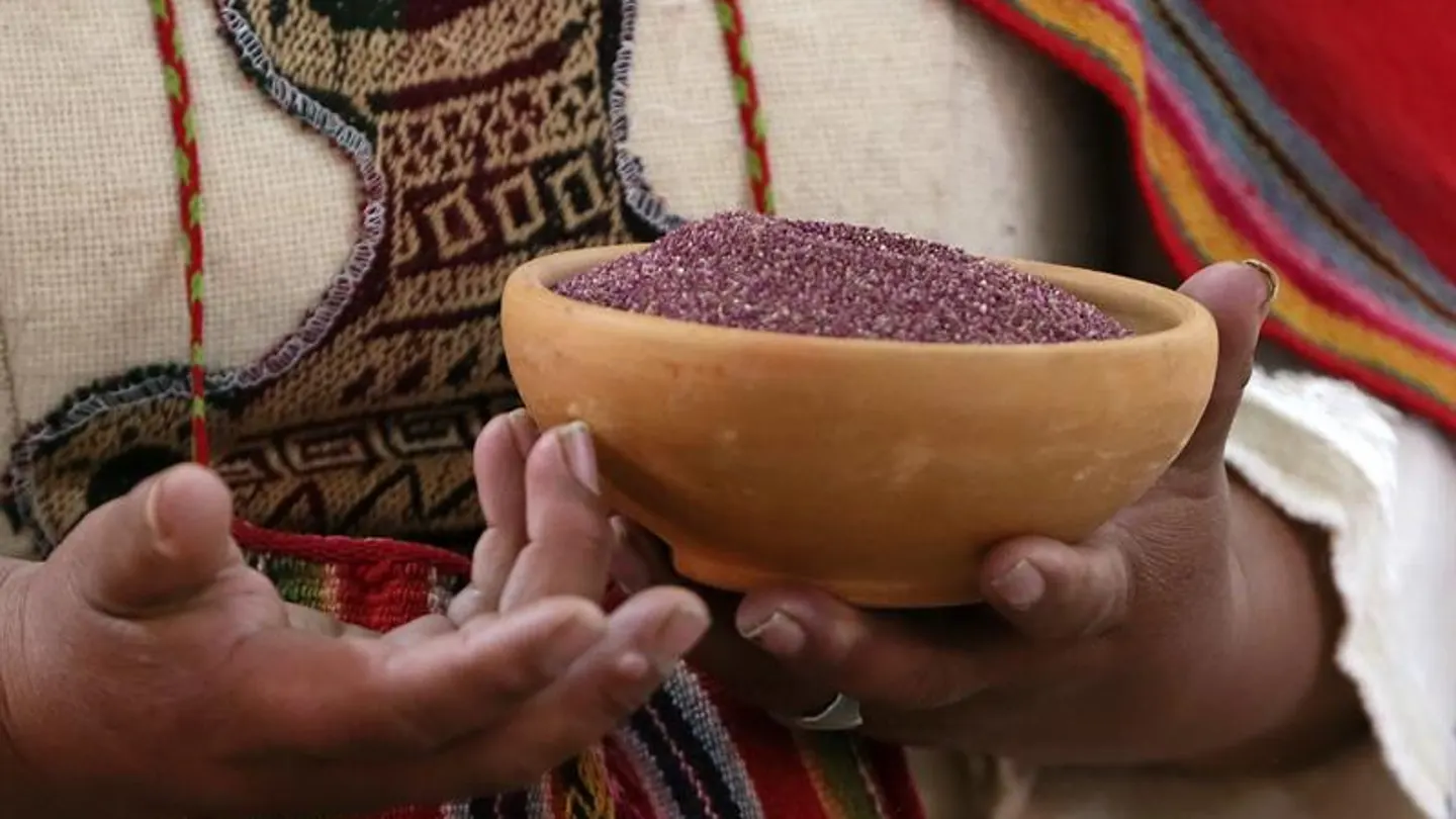La cañahua se ha convertido en el auténtico grano de oro La cañahua se ha convertido en el auténtico grano de oro
