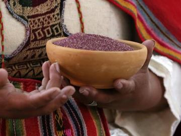 La cañahua se ha convertido en el auténtico grano de oro La cañahua se ha convertido en el auténtico grano de oro