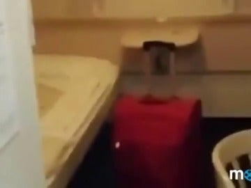 "Vaya zulito bueno": así son los camarotes donde se alojan los policías desplegados por el 1-O en el puerto de Barcelona "Vaya zulito bueno": así son los camarotes donde se alojan los policías desplegados por el 1-O en el puerto de Barcelona