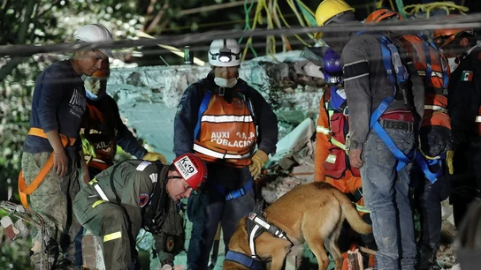 Brigadas de rescate continúan trabajando entre los escombros en México Brigadas de rescate continúan trabajando entre los escombros en México