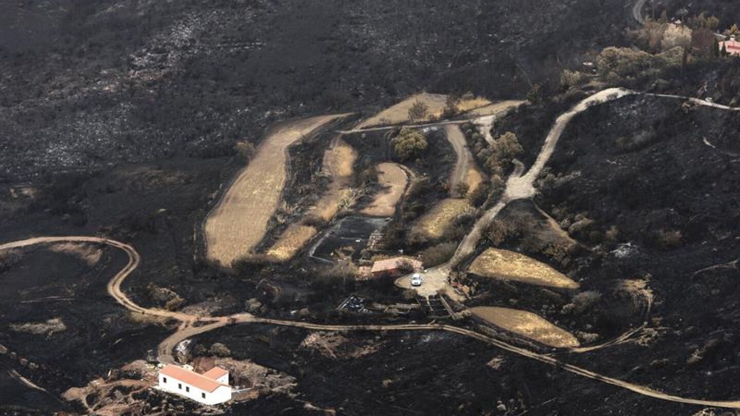 Una de las zonas afectadas por el fuego
