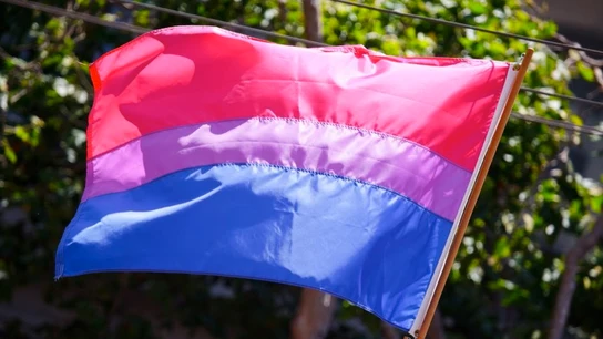 Imagen de archivo de una bandera bisexual Imagen de archivo de una bandera bisexual