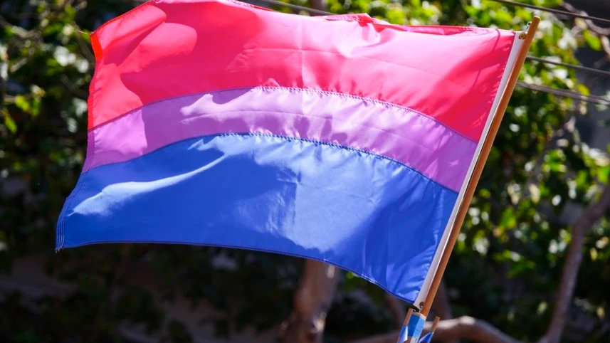 Imagen de archivo de una bandera bisexual