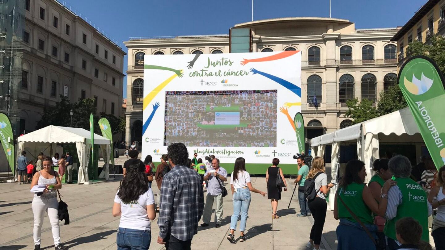 El mosaico de fotograf&iacute;as contra el c&aacute;ncer, en la plaza del Reina Sof&iacute;a