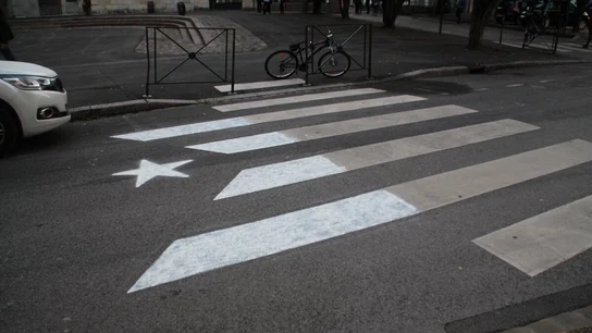 Paso de cebra convertido en estelada Paso de cebra convertido en estelada
