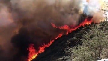 El incendio de Gran Canaria fue provocado