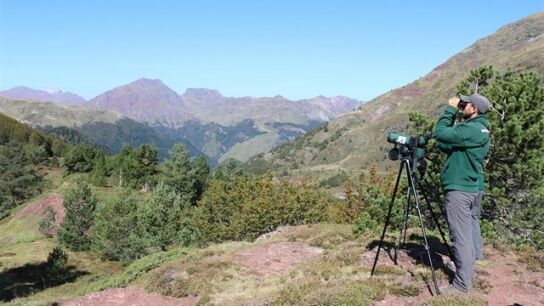 Los 'controladores a&eacute;reos' de las aves migratorias