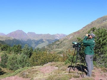 Los 'controladores aéreos' de las aves migratorias Los 'controladores aéreos' de las aves migratorias
