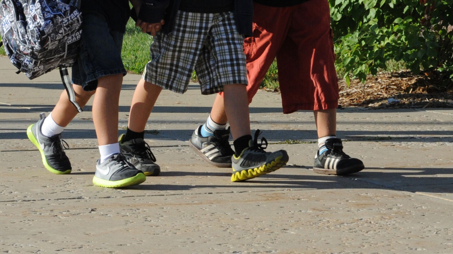 Imagen de varios ni&ntilde;os caminando