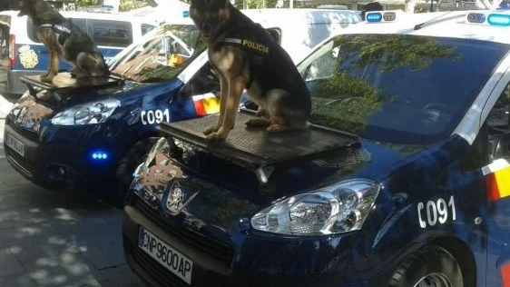 Dos perros policía