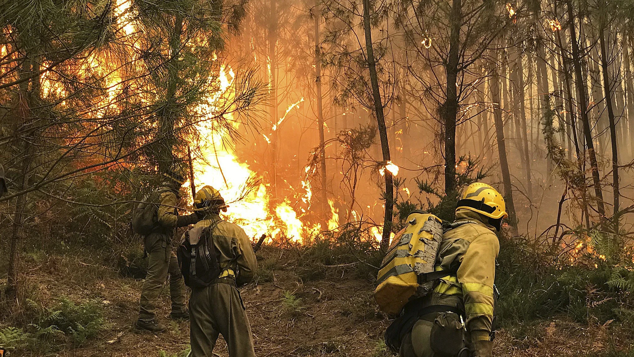 Cuatro focos intencionados causaron el fuego de 1.500 hectáreas de Ponteareas