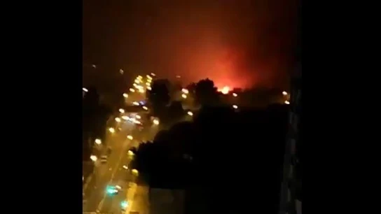 Vigo Vigo