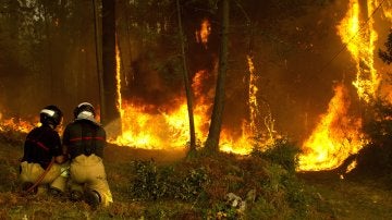 Operarios del sevicio de extinción de incendios trabajan en la zona de Zamanes, Vigo