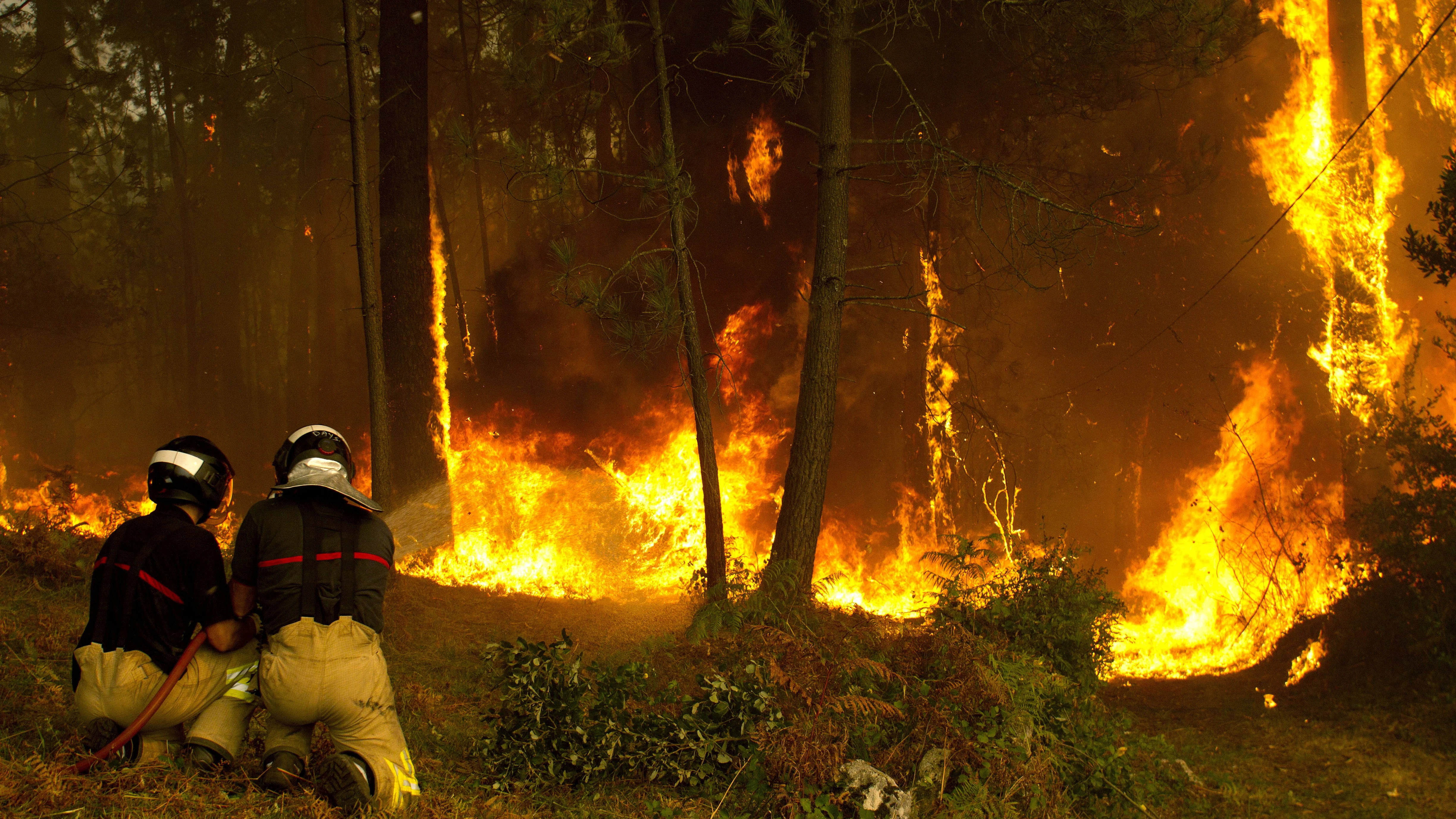 Operarios del sevicio de extinción de incendios trabajan en la zona de Zamanes, Vigo