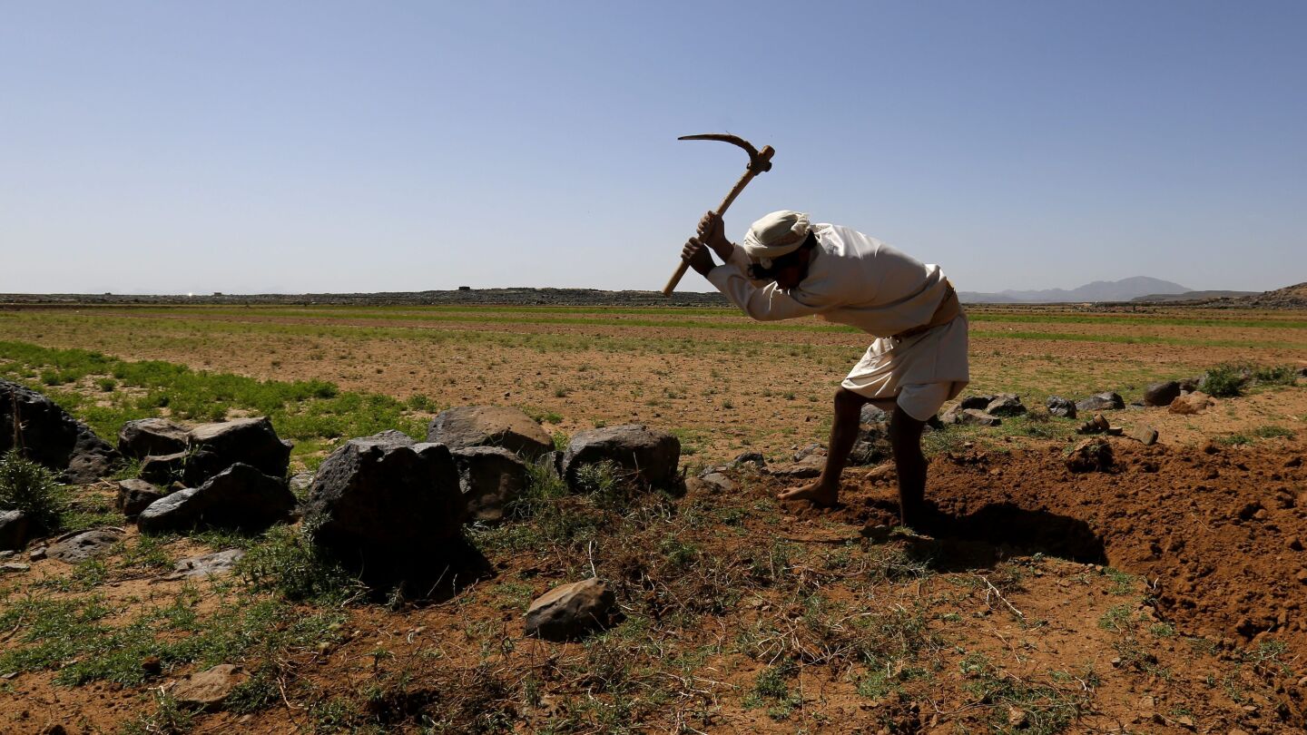 Agricultura 