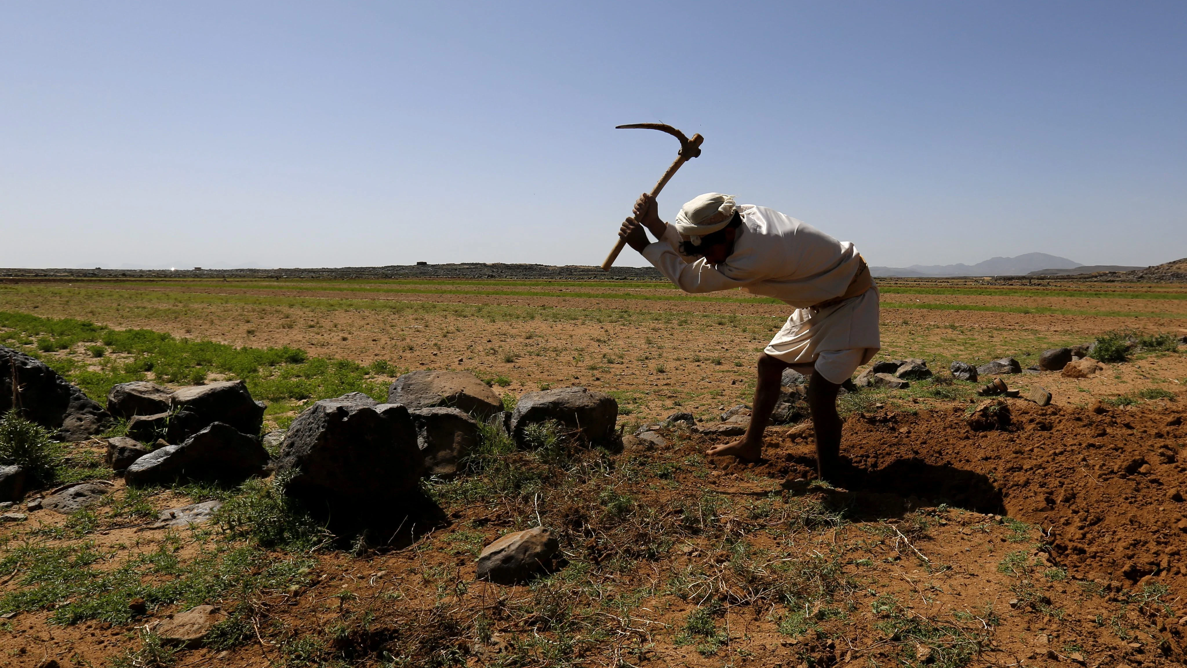 Agricultura 