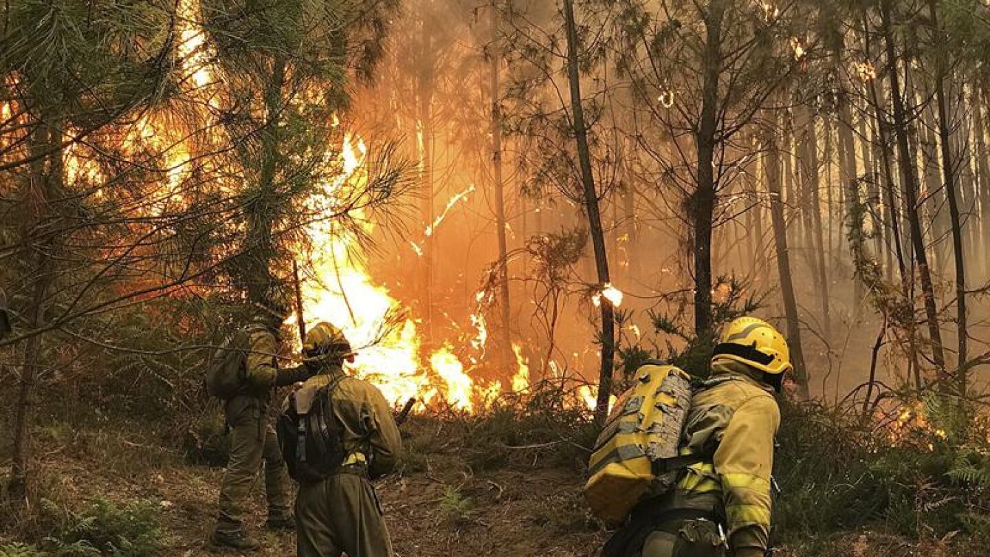 Bomberos trabajando en el incendio