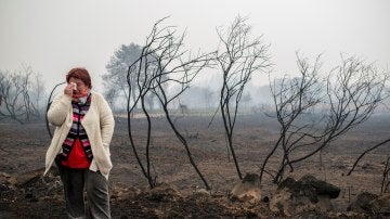 Consecuencias de los incendios en Galicia
