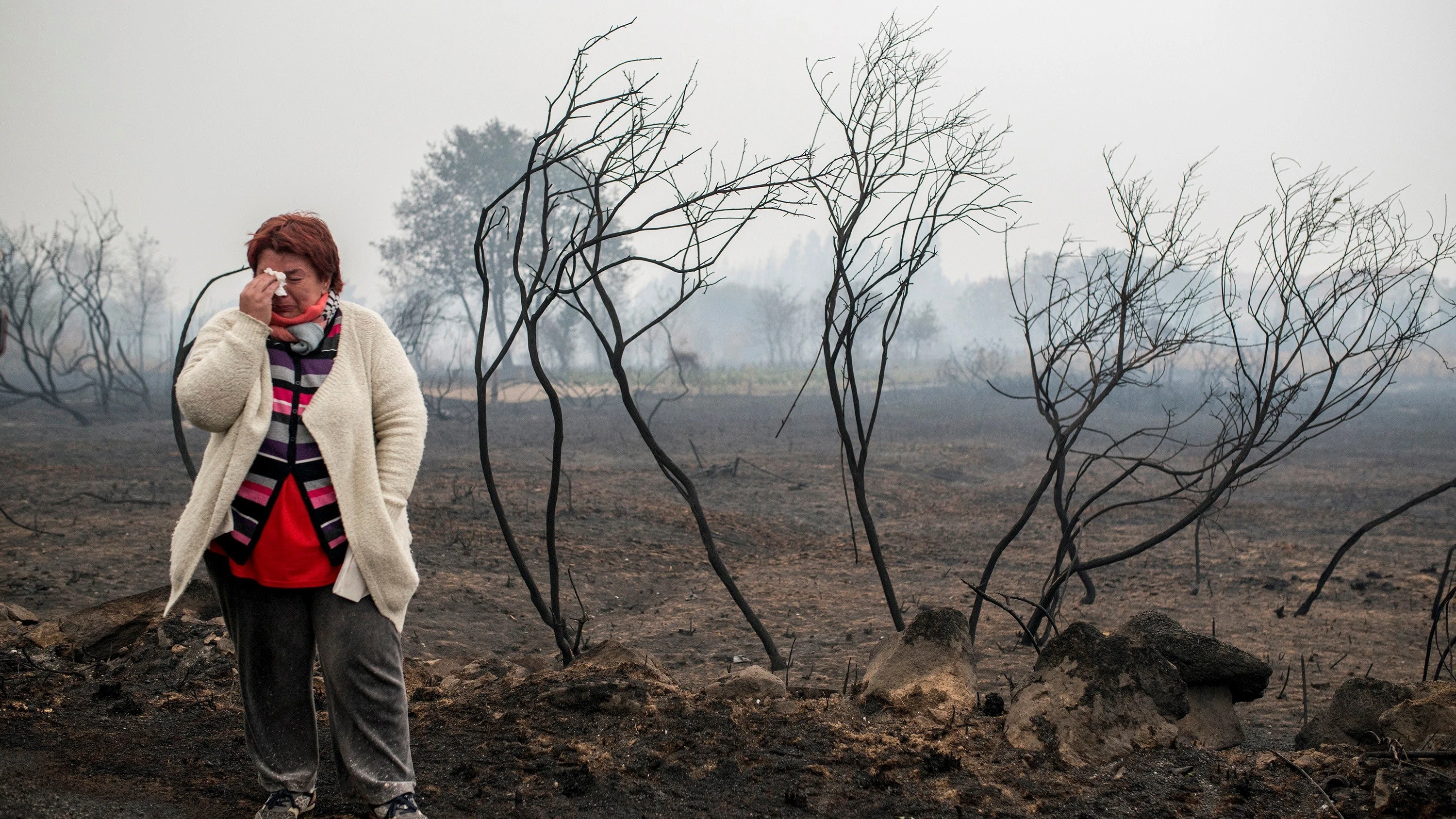 Consecuencias de los incendios en Galicia