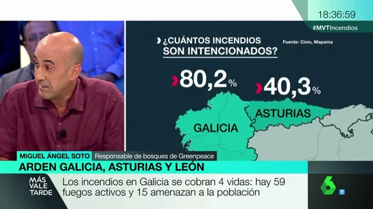 SOTO SOTO