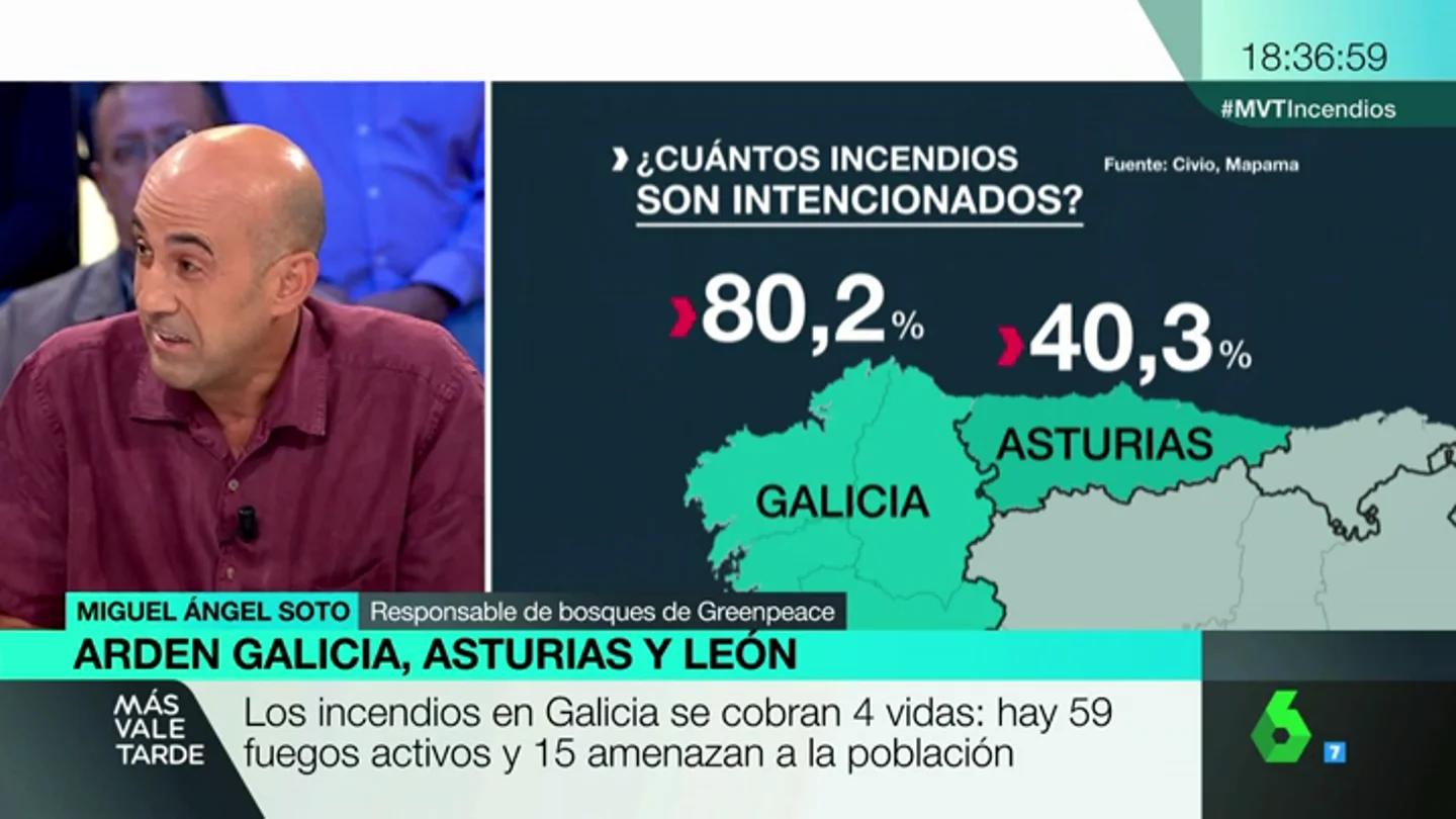 SOTO SOTO