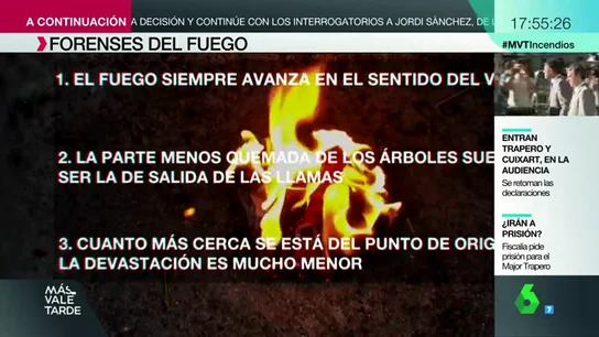 FORENSES FORENSES