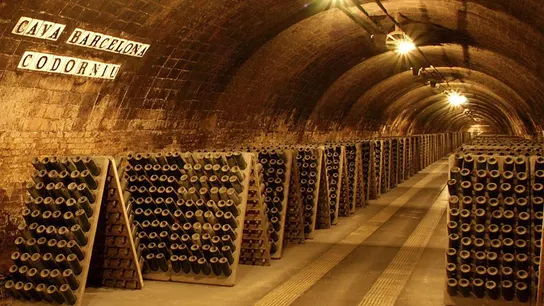 Cava Barcelona, Codorníu Cava Barcelona, Codorníu