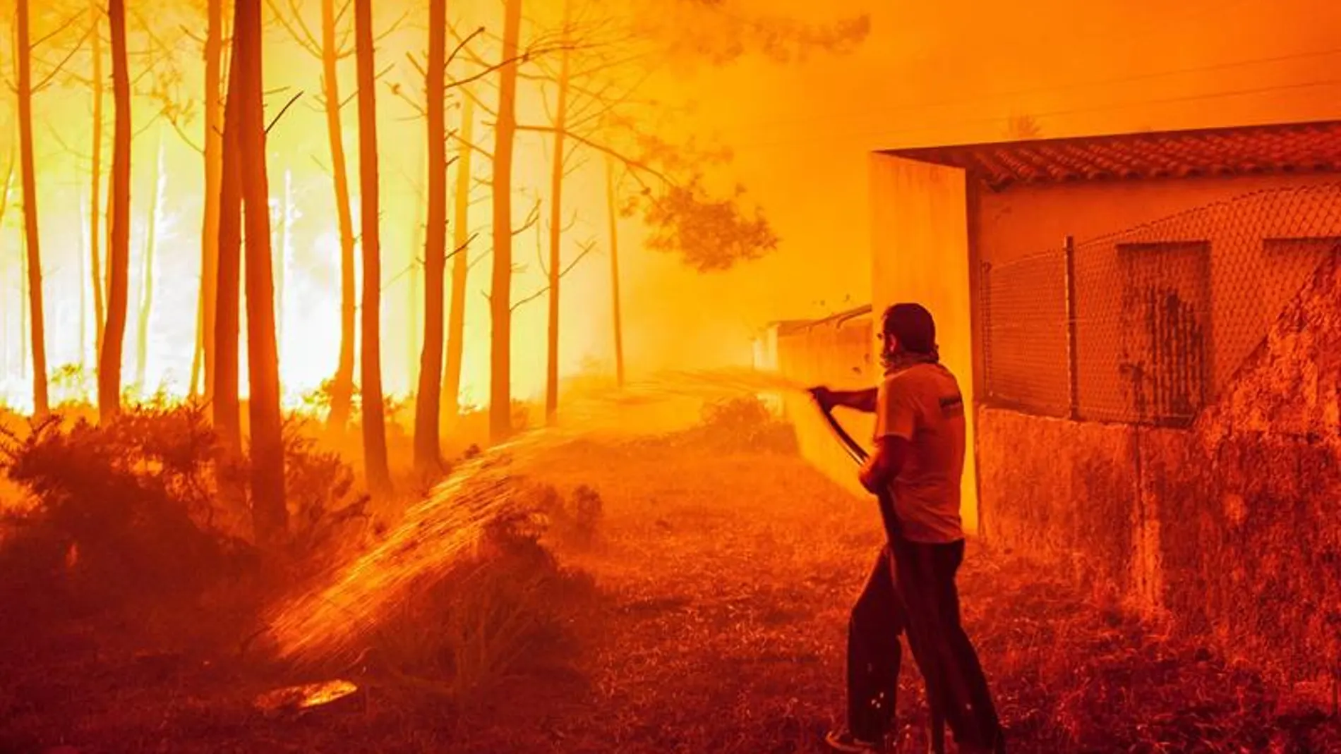 Un hombre lucha contra las llamas en un incendio forestal declarado en Adica, Tondela (Portugal)