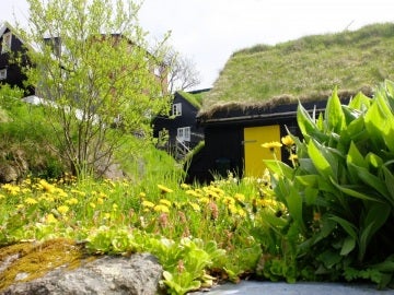 Tejado de una casa cubierto por vegetación Tejado de una casa cubierto por vegetación