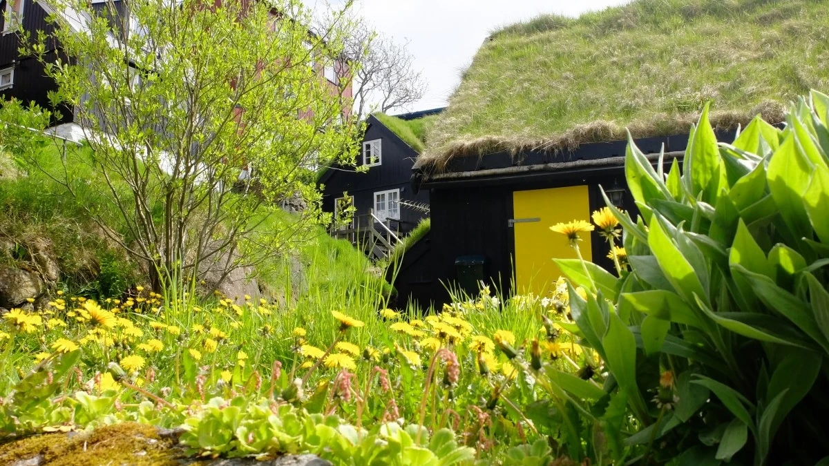 Tejado de una casa cubierto por vegetación Tejado de una casa cubierto por vegetación