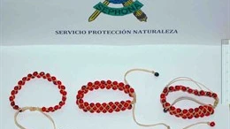 Las cinco pulseras intervenidas con semillas tóxicas