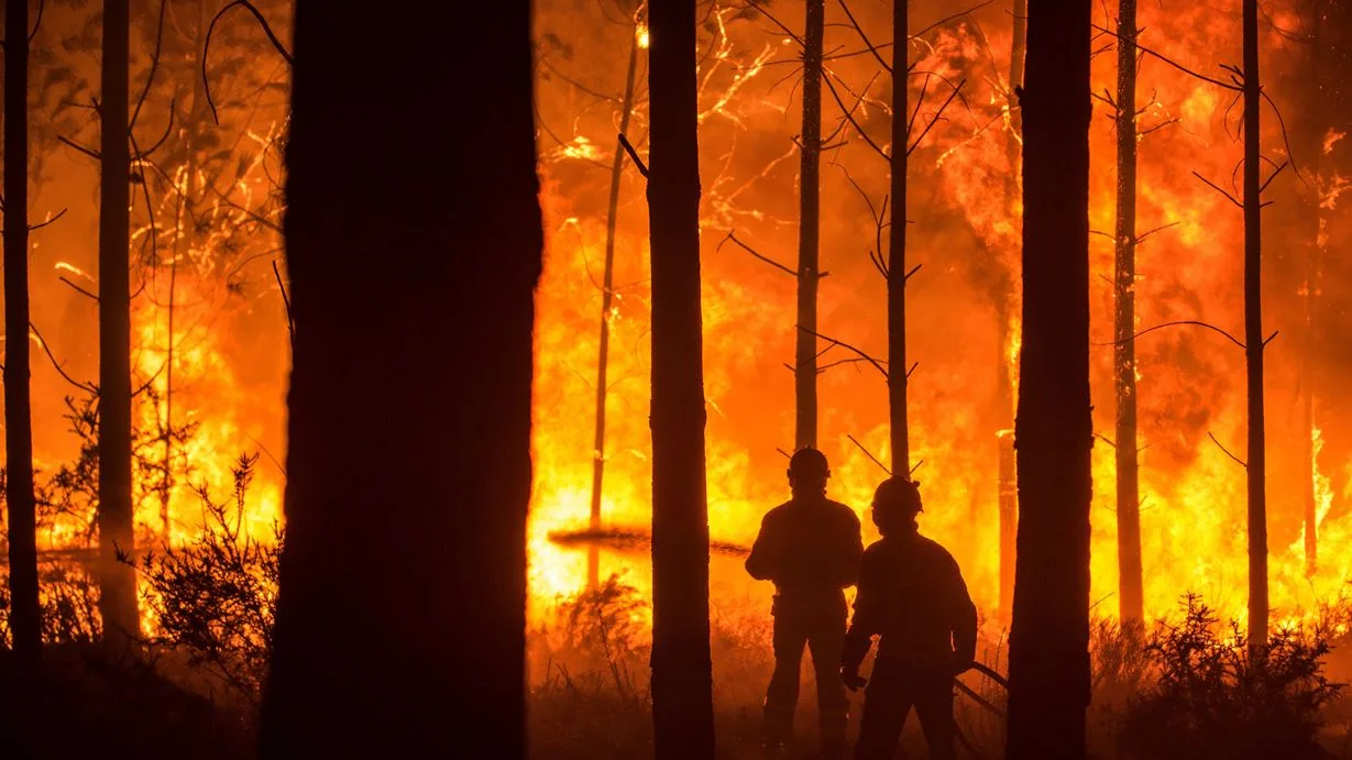 Incendio forestal en Portugal