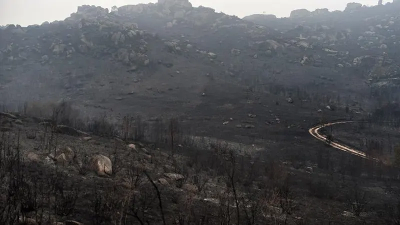 Superficie calcinada en el Parque Natural de la Serra do Xurés, en Muiños (Ourense)