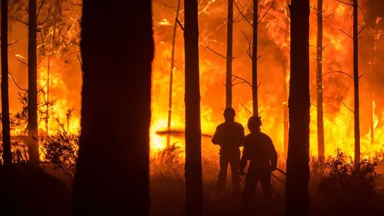 Un hombre lucha contra las llamas en un incendio forestal Un hombre lucha contra las llamas en un incendio forestal