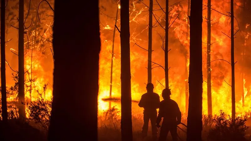 Un hombre lucha contra las llamas en un incendio forestal