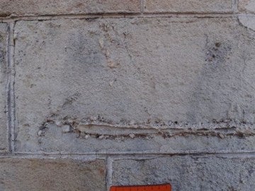 Ejemplo de un fósil en un edificio de Barcelona Ejemplo de un fósil en un edificio de Barcelona