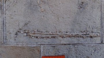 Ejemplo de un fósil en un edificio de Barcelona