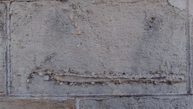 Ejemplo de un fósil en un edificio de Barcelona