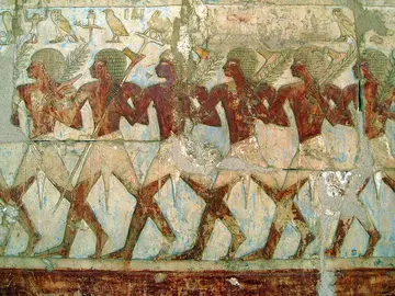 Las crecidas del Nilo permitían a los antiguos egipcios cultivar las tierras Las crecidas del Nilo permitían a los antiguos egipcios cultivar las tierras