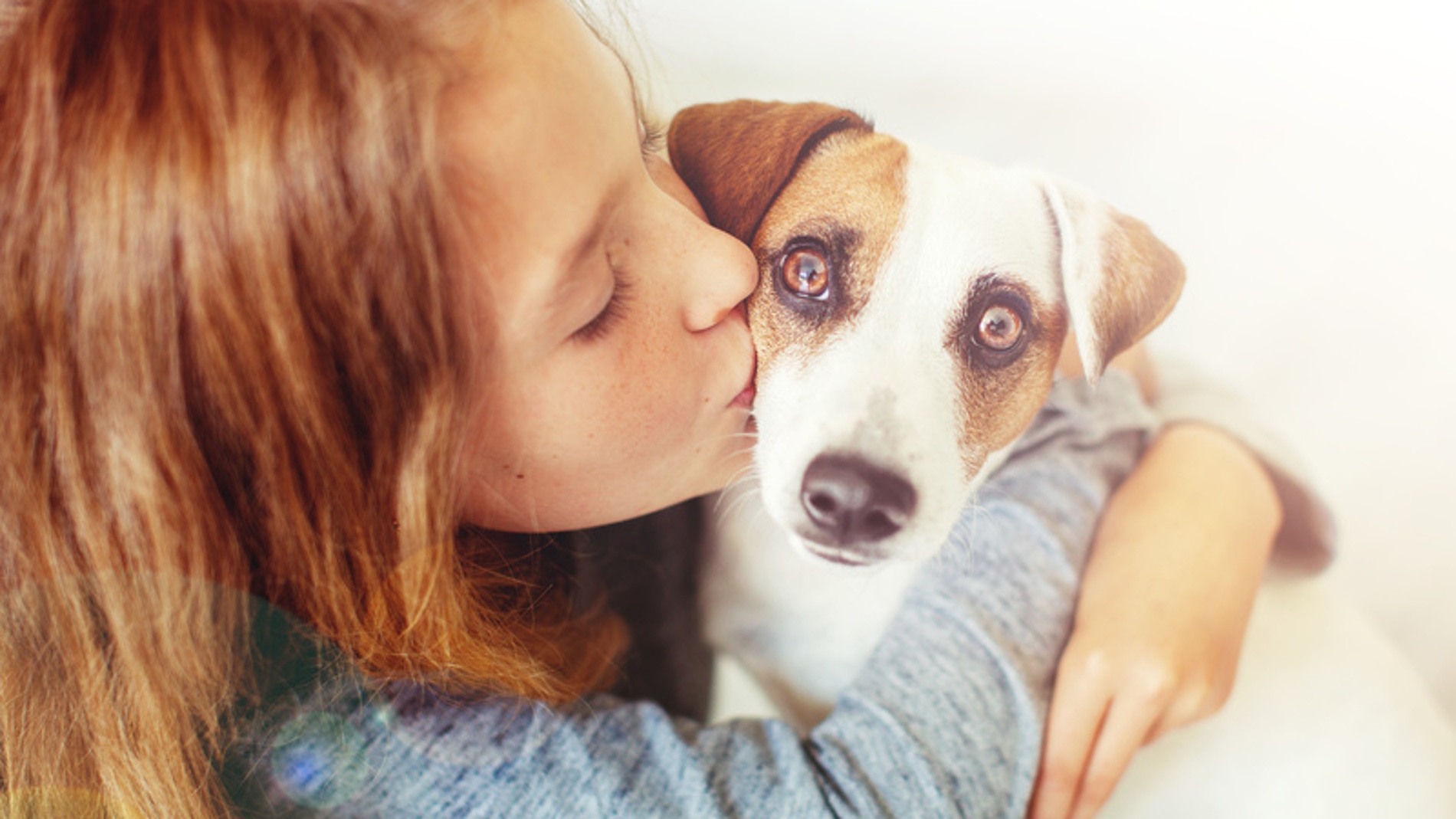 Los perros usan expresiones faciales para comunicarse con los humanos