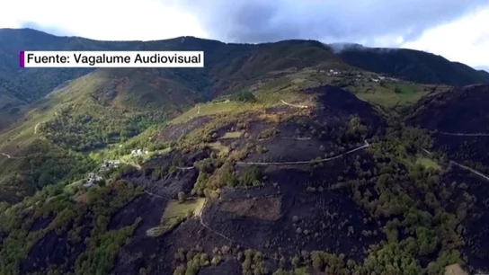 Terreno quemado por los incendios en Galicia Terreno quemado por los incendios en Galicia