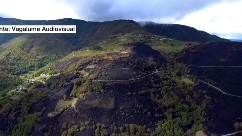 Terreno quemado por los incendios en Galicia