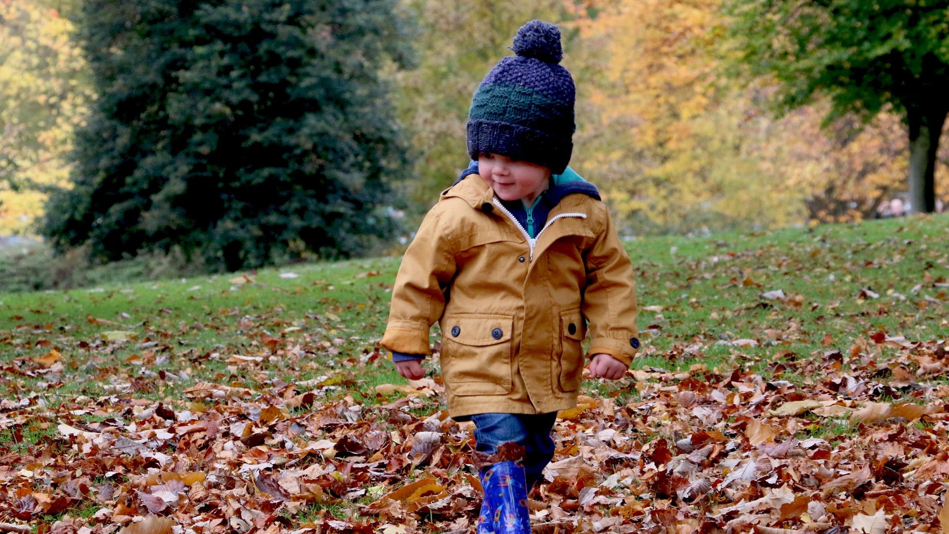 Vivir cerca de espacios verdes se asocia con una mayor atencion infantil