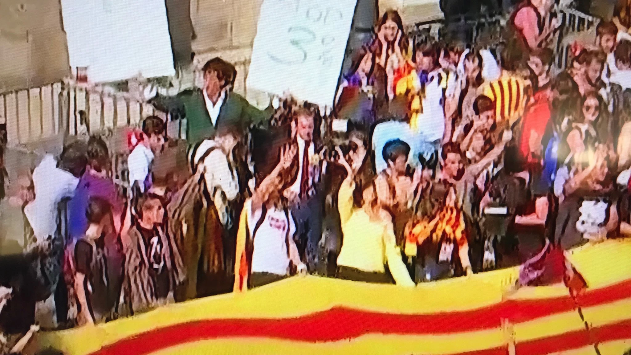 Álvaro de Marichalar, en la manifestación por la independencia de Cataluña