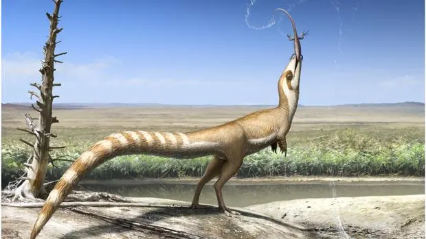 El sinosauropteryx, un dinosaurio con 'máscara'