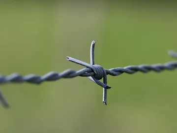 Cuando la electricidad fue como internet Cuando la electricidad fue como internet